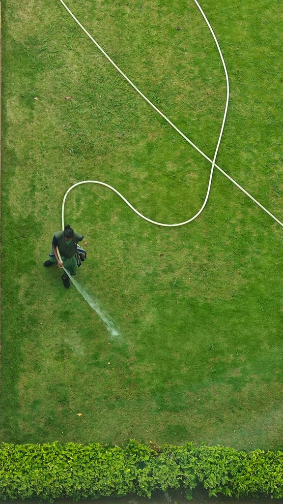 A person is watering a lush lawn using a garden hose from above. Urban gardening concept.